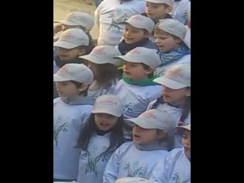 montalcini coro