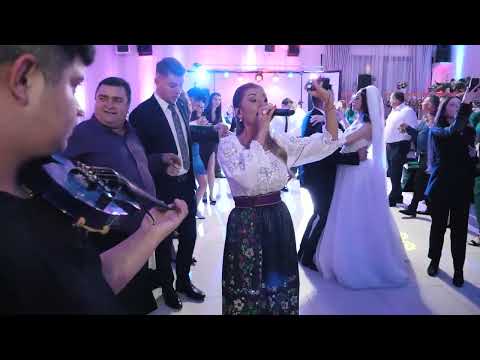 🎙️ Emilia Ghinescu - Colaj de Nuntă