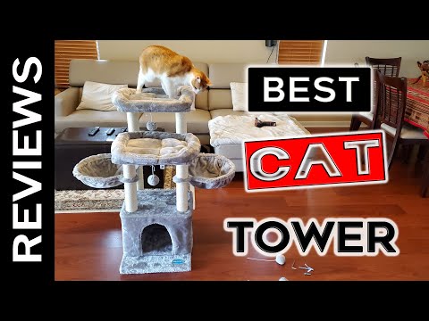 Cat Tower for Adult Cats - Review