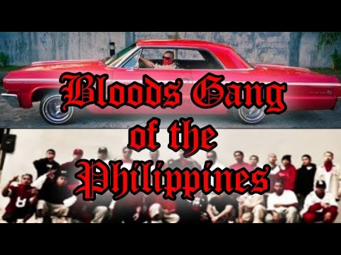 Bloods Gang of the Philippines | Filipino Gang | Pinoy Bloods