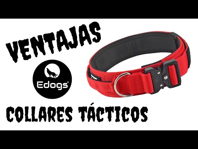 Vídeo relacionado con Viugex Collar Tactico para Perro, Ancho Collares Perro con Mango de Control, Collar para Perros Ajustable y Resistente, Cómodo Nylon Suave para Perros Pequeños Medianos Grandes (Caqui, M)