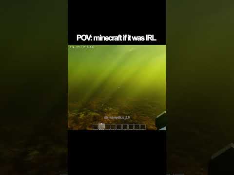 POV minecraft if it was IRL