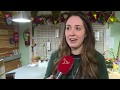 Milieuvriendelijke bloemen uit Almere