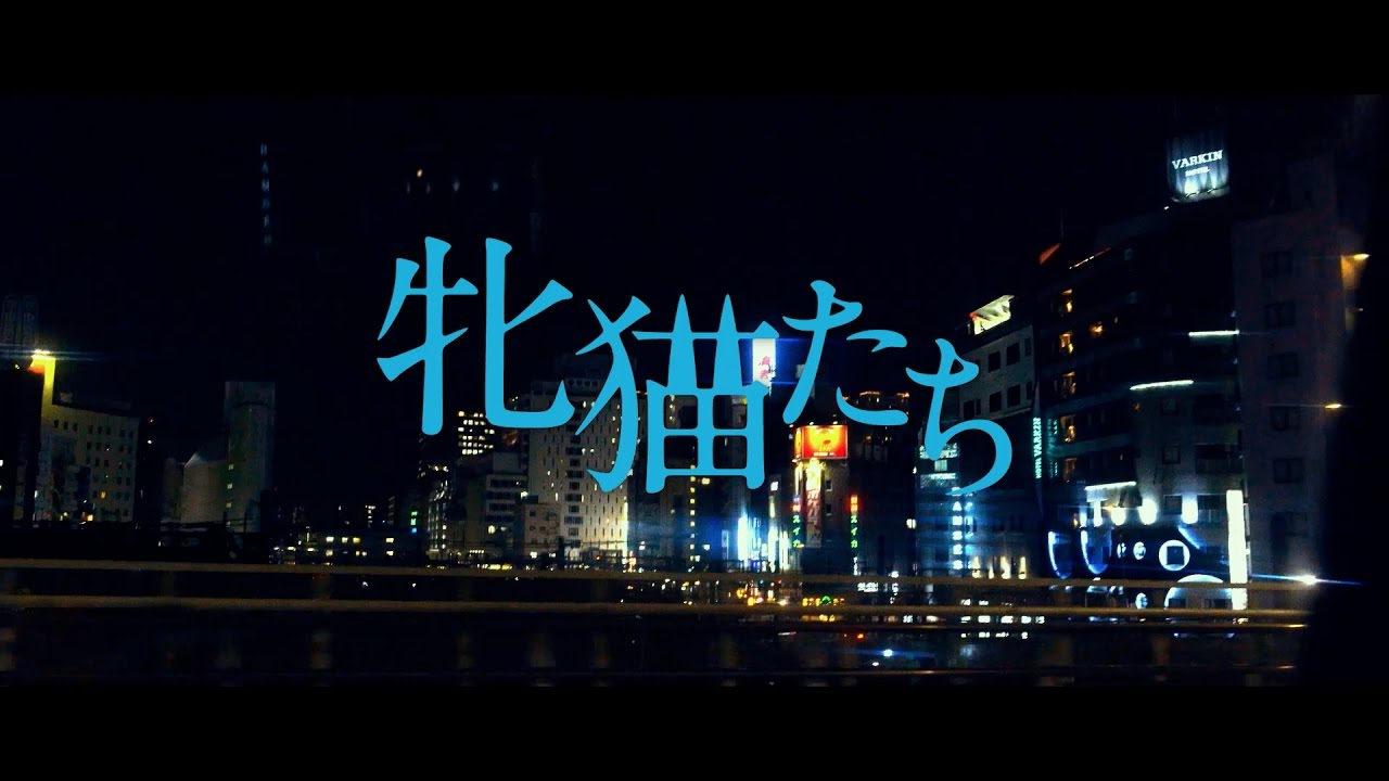 白石和彌監督『牝猫たち』予告編