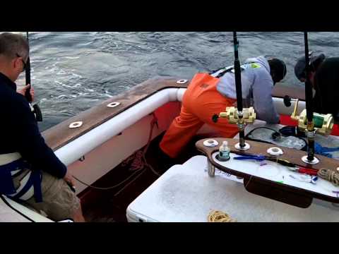 Pete II - BFT - Regal Sword - Catch and release on the Castafari - Sept 28, 2012