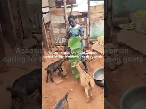 Women Goat Ranch For A Sustainable Livelihood