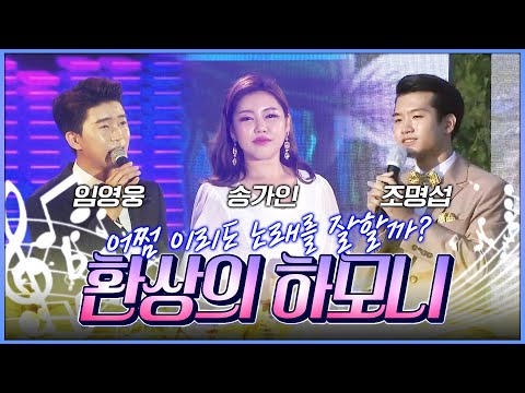 어쩜 이리도 노래를 잘할까 조명섭 송가인 임영웅 같은 무대처럼! #정통트로트
