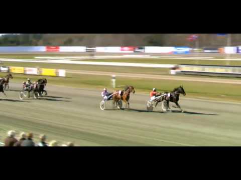 Lord Valentines Mindeløb 2015_TYCOON CONWAY HALL_Juul Steen