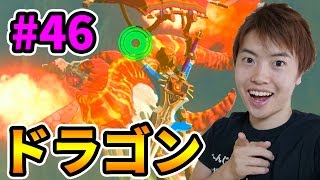 【ゼルダの伝説】球を転がすカラクリに大苦戦w ヒカキンのゼルダの伝説ブレスオブザワイルド実況 Part8