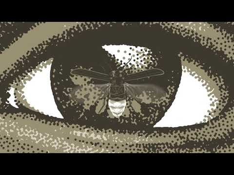 Video thumbnail for Goodbye