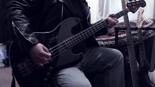 Velvet Revolver - Can&#39;t get it out of my head (bass cover)