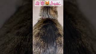 😘😘❣️❣️😘😘❣️❣️