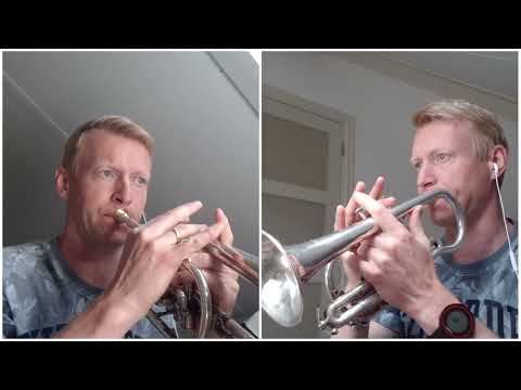 Song for Health WvdW