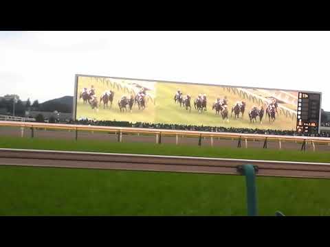 2016.10.30東京競馬場　天皇賞秋