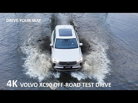 DRIVE YOUR WAY and Drive Your Way #Shorts