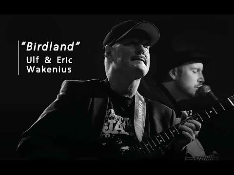 Birdland by Ulf Wakenius and Eric Wakenius