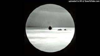 Dan March - The North Shore