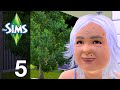 Stephen Plays: The Sims #5 - "Plant a Tree in the ...