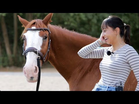 Pferdehalterin überwältigt bei Abholung ihres polnischen Wallach – Kann Rys schmerzfrei weiterleben?