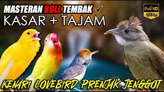 Download lagu #10 MASTERAN MURAI BATU ROLL TEMBAK KASAR ISIAN CUCAK JENGGOT, KENARI, PRENJAK, LOVEBIRD mp3