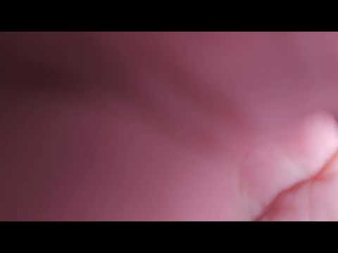 MBTA Route 29 Inbound Door Announcement (via Franklin Field)