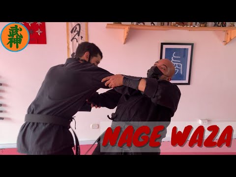 NAGE WAZA, Proyecciones, bujinkan. #bujinkan #ninjutsu #budotaijutsu