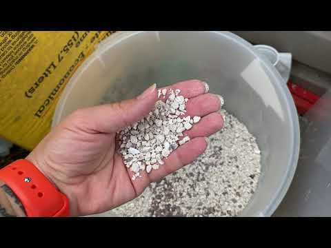 How Do I Give My Chickens Calcium? - Five Minute Chicken Tips!