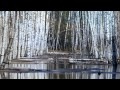 песня " Мать- земля моя, Русская 