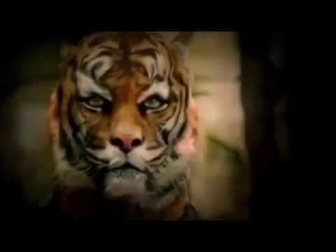 Mekhwar by Ali barakat