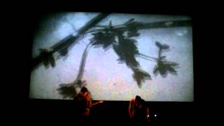 Barn Owl live @ Amplifest 2012 (2)