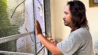 Download lagu Tukang cukur bikin aviary belajar ternak mp3