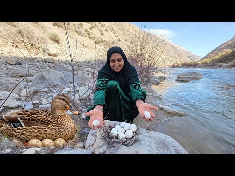 Collecting Wild Duck Eggs 🦆🥚 by a Rushing River 🌊