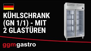 Armoire réfrigérée vitrée positive en acier inoxydable AISI 304 PREMIUM PLUS - GN 1/1 - 745 L - avec 2 portes vitrées & Glissières GN & 8 grilles GN 1/1