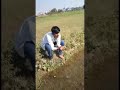 Koyla Movie Hindi Sence