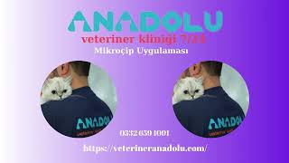 ANADOLU VETERİNER KLİNİĞİ  ÜMRANİYE ACİL VETERİNER ACİL MÜDAHALE REHA 