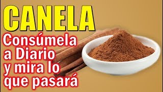 Canela en polvo propiedades y beneficios