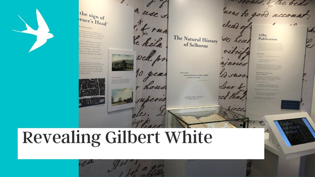 Revealing Gilbert White