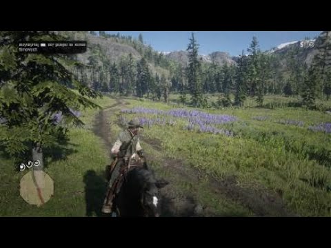 Zagrajmy w RDR2 - Odcinek 117 - Wyprawa z synem