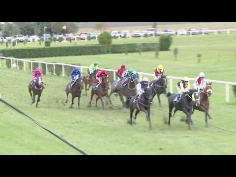 BR, 5. 10. 2019, 2. dostih - CENA FIRMY ZEMAKO s.r.o.