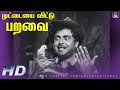 Muttaiyai Vittu Parava Song HD முட்டையை விட்டு பறவை Ezhlai Panga