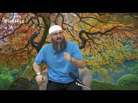 Da li smo dužni dati zekat na novac koji sakupljamo za kupovinu stana? - Elvedin Pezić