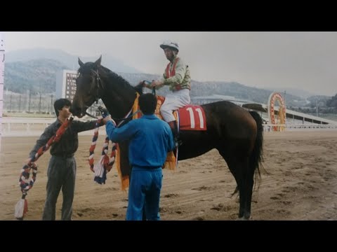 심판폭행 기수기절/마체중 10kg전후 플러스 마이너스 변화는 말의 나이에 따라