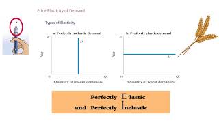 Price Elasticity of Demand explained