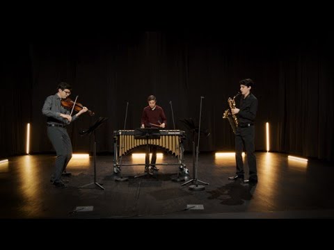 mdw Artist Portrait: Trio SMS