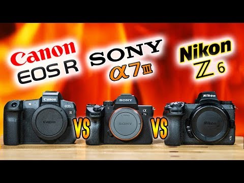 Nikon Z6 vs Sony a7 III vs Canon EOS R | Which Camera to Buy? (2019)