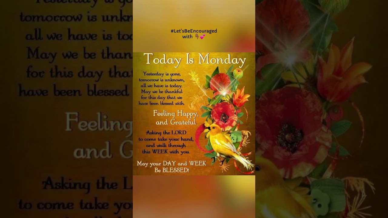 💕Monday Blessings of feeling grateful. . . .