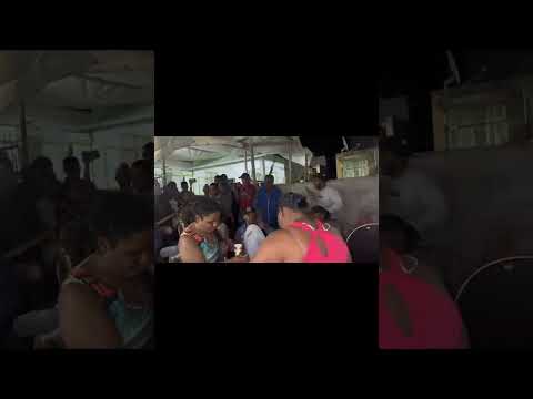 Hommage a Mimose Furcy - Mama from Chagos #sega #segaravanne #segamauritius #segailemaurice #segamor