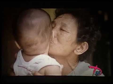 Tiếng vĩ cầm ở Mỹ Lai