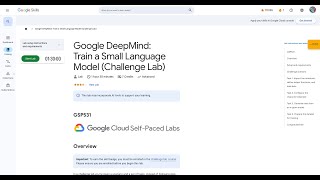Qwiklabs | Google DeepMind: Train a Small Language Model (Challenge La