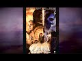 The Legend Of Zelda Rising Darkness FULL MOVIE Live Action Fan Film